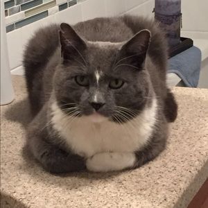 Meet your Posher, Julia